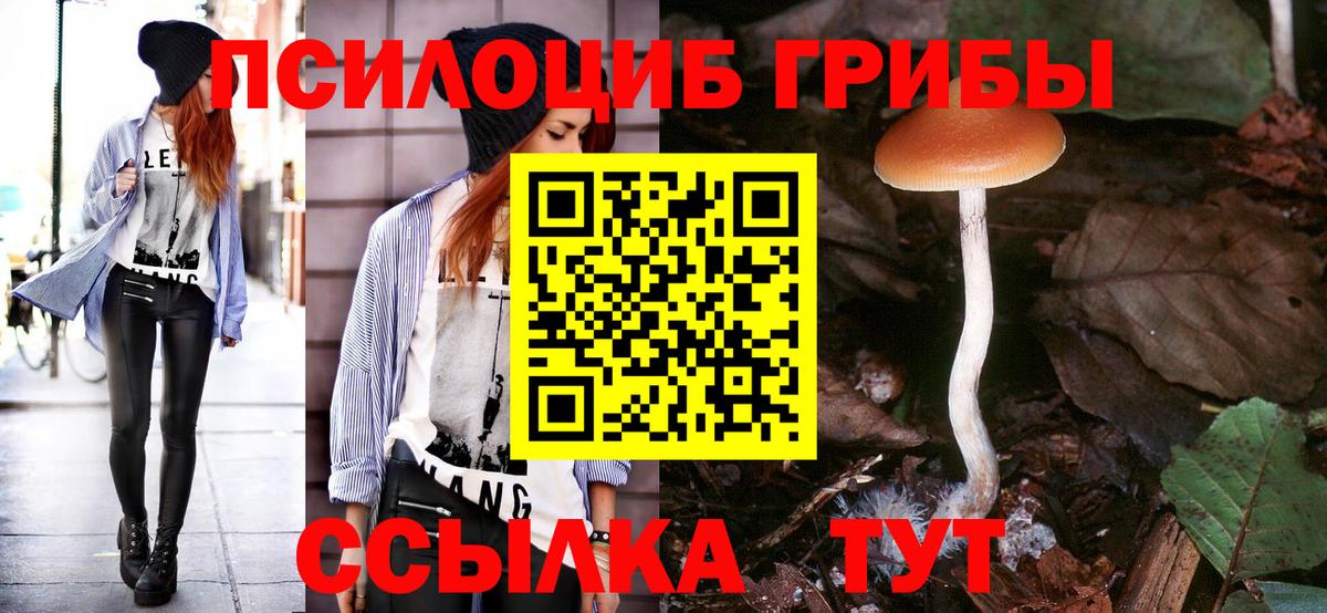Галлюциногенные грибы Psilocybine cubensis Унеча